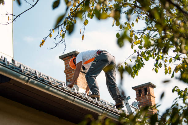 Best Roof Repair Services  in Harlan, IN